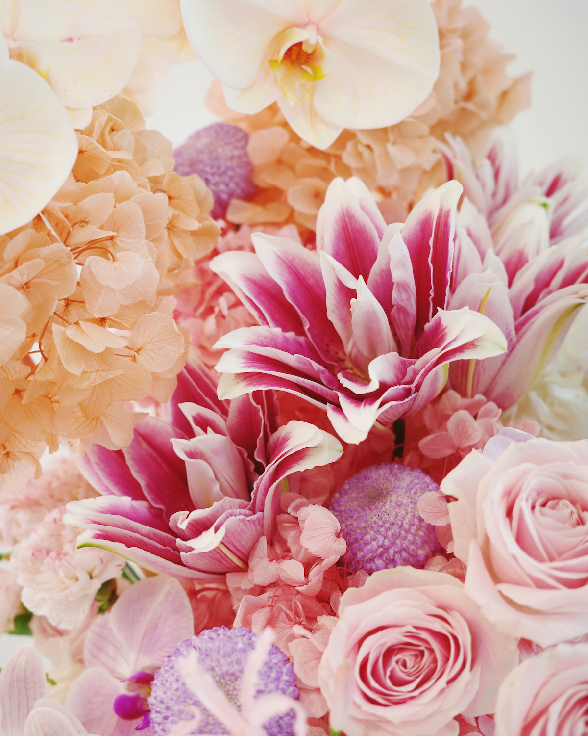 BLOOMING BLISS